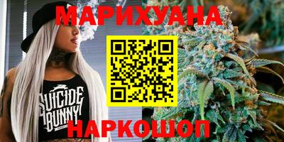 a pvp Кингисепп