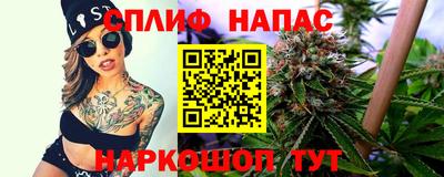 a pvp Кингисепп