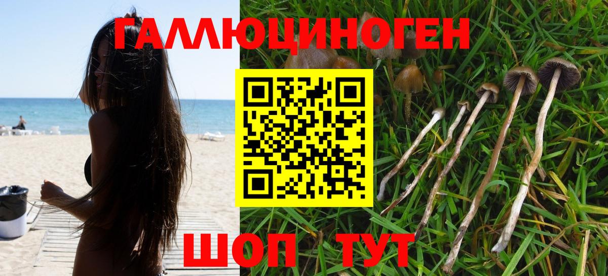 Галлюциногенные грибы ЛСД  как найти   Вход с VPN  Шатура  Псилоцибиновые грибы мицелий 